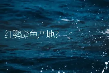 红鹦鹉鱼产地？