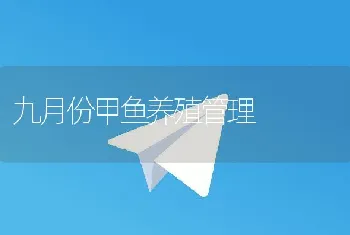 九月份甲鱼养殖管理