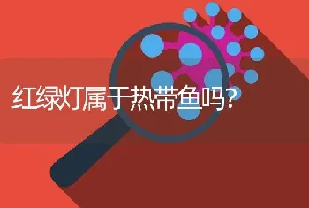 红绿灯属于热带鱼吗？