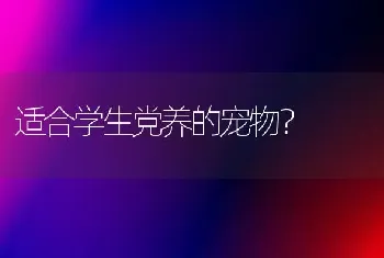 适合学生党养的宠物？