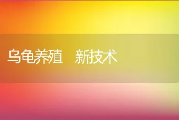 乌龟养殖新技术