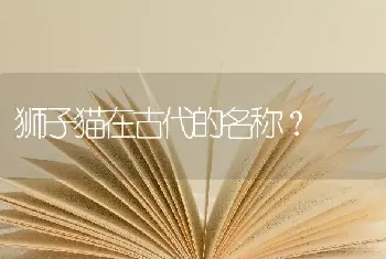 狮子猫在古代的名称？