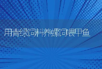 用青绿饲料养螺饲喂甲鱼