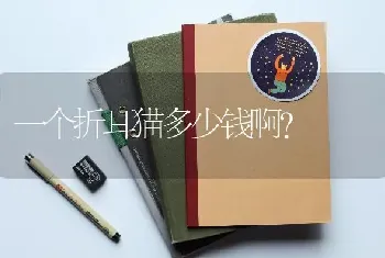 一个折耳猫多少钱啊？