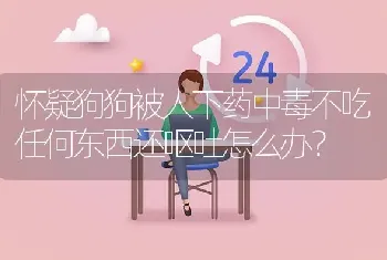 怀疑狗狗被人下药中毒不吃任何东西还呕吐怎么办？