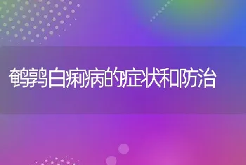 鹌鹑白痢病的症状和防治