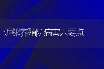 家养鹌鹑支气管炎的防治方法