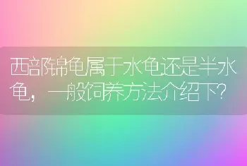 西部锦龟属于水龟还是半水龟，一般饲养方法介绍下？