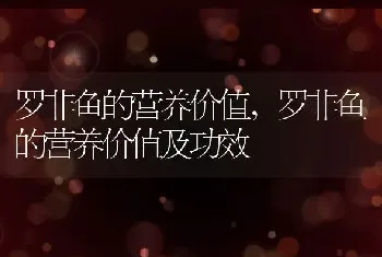 罗非鱼的营养价值，罗非鱼的营养价值及功效