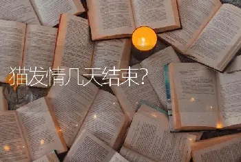 猫发情几天结束？