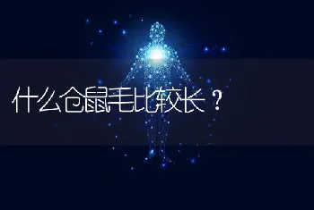 比熊为什么总是跟疯子似的？