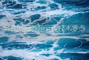 鲤鱼网箱养殖管理技术要点