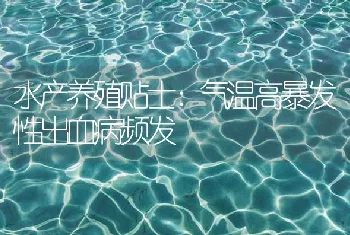 水产养殖贴士：气温高暴发性出血病频发