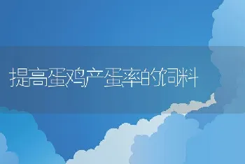 硝呋烯腙在动物养殖中的作用及应用