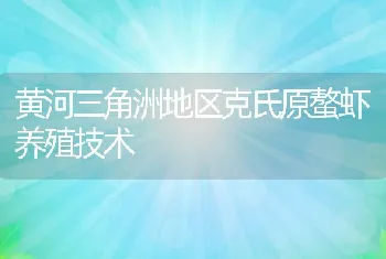 黄河三角洲地区克氏原螯虾养殖技术