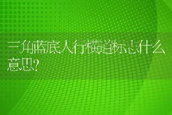 三角蓝底人行横道标志什么意思？