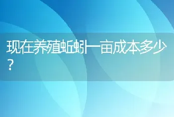 现在养殖蚯蚓一亩成本多少？