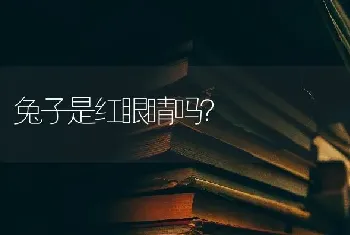 藏獒是保护动物吗？