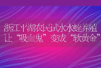 浙江平湖农民试水水蛭养殖让“吸血鬼”变成“软黄金”