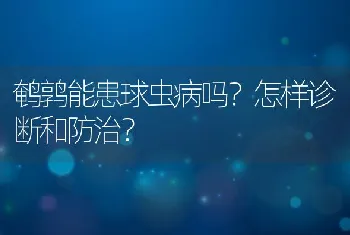 鹌鹑能患球虫病吗？怎样诊断和防治？