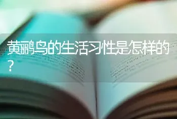 黄鹂鸟的生活习性是怎样的？