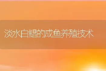 淡水白鲳的成鱼养殖技术