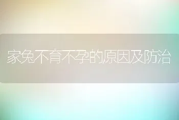 家兔不育不孕的原因及防治