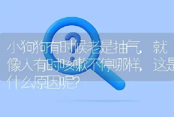 小狗狗有时候老是抽气,就像人有时咳嗽不停哪样,这是什么原因呢？