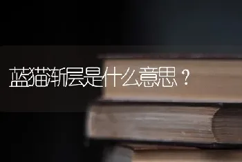 蓝猫渐层是什么意思？