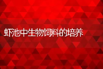 虾池中生物饲料的培养