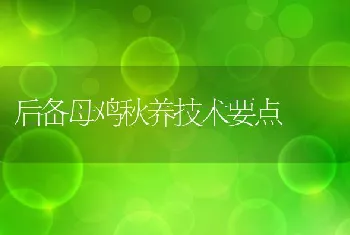 后备母鸡秋养技术要点