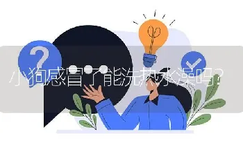 小狗感冒了能洗热水澡吗？