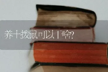 养土拨鼠可以干啥？