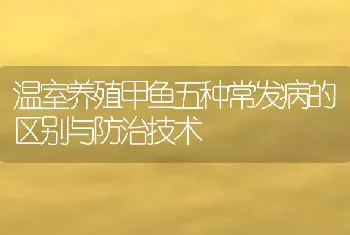 温室养殖甲鱼五种常发病的区别与防治技术