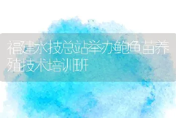 福建水技总站举办鲍鱼苗养殖技术培训班