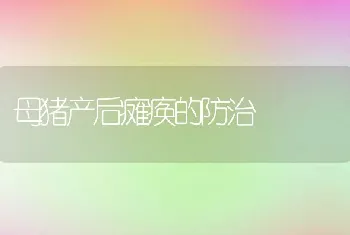 母猪产后瘫痪的防治