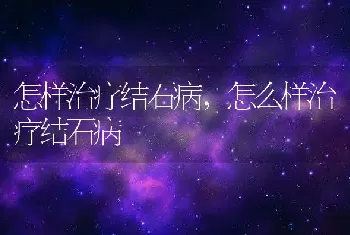 怎样治疗结石病，怎么样治疗结石病