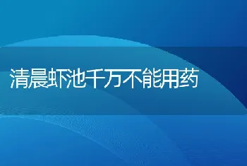 清晨虾池千万不能用药