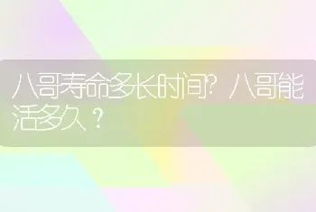 八哥寿命多长时间?八哥能活多久？