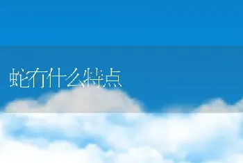 蛇有什么特点