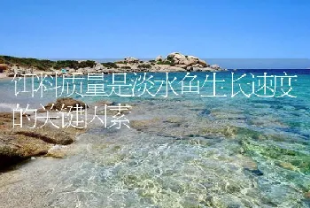 饵料质量是淡水鱼生长速度的关键因素