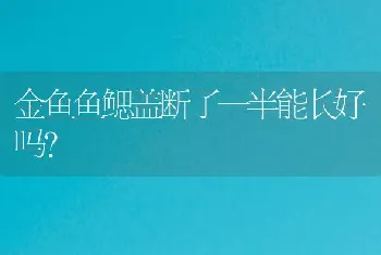 金鱼鱼鳃盖断了一半能长好吗？