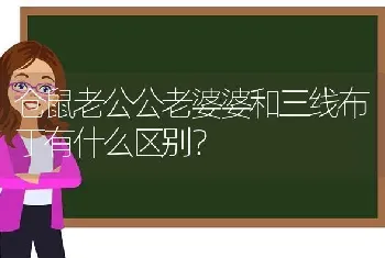 仓鼠老公公老婆婆和三线布丁有什么区别？