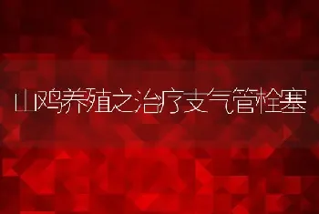 山鸡养殖之治疗支气管栓塞