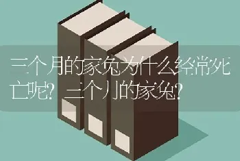 三个月的家兔为什么经常死亡呢?三个月的家兔？