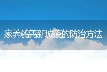 家养鹌鹑新城疫的防治方法