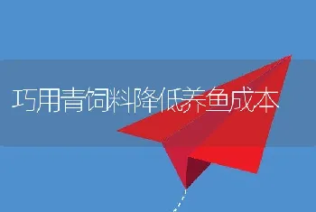 高温季节罗非鱼水质管理措施