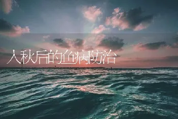 入秋后的鱼病防治