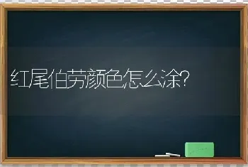 红尾伯劳颜色怎么涂？