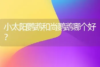 小太阳鹦鹉和尚鹦鹉哪个好？